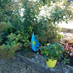 Фото ветерана: Рекин Сергей Павлович